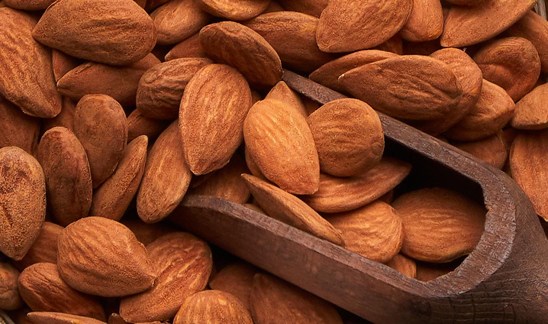 Almond | TQB | Tanto Quanto Basta | 