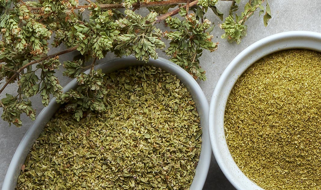 Oregano | TQB | Tanto Quanto Basta | 