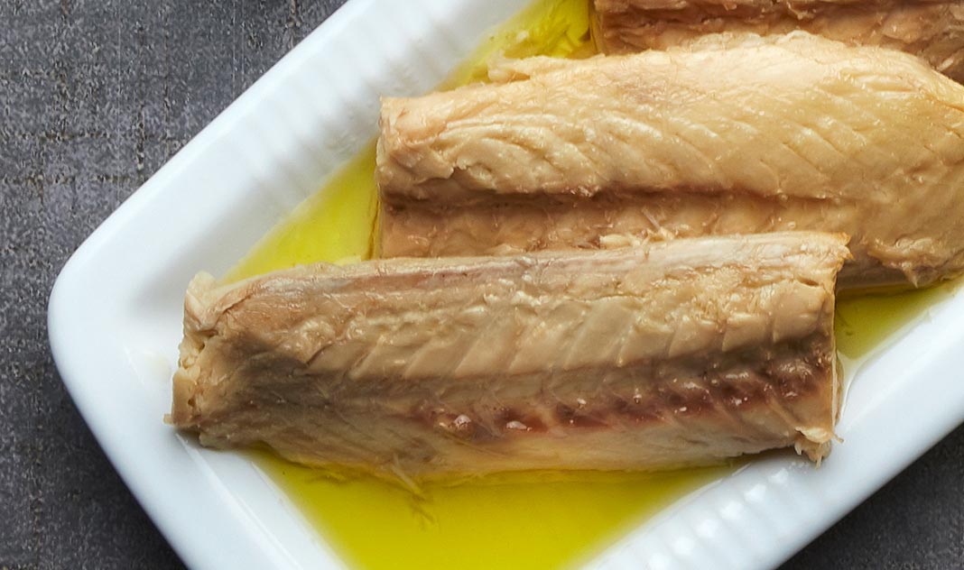 Mackerel | TQB | Tanto Quanto Basta | 